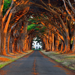 日本免费看片网站
