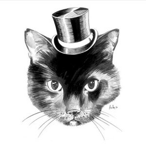 日本免费看片网站
